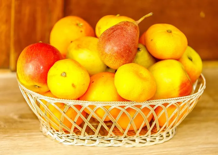 Fogadó Zentrum Haus