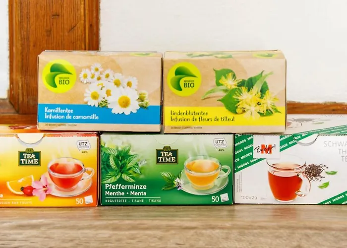 Zentrum Haus 达沃斯